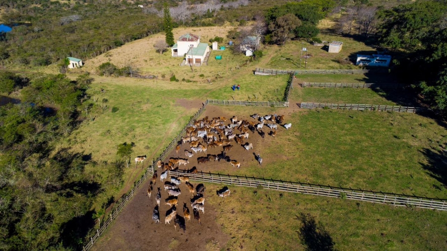 4 Bedroom Property for Sale in Frankfort Eastern Cape